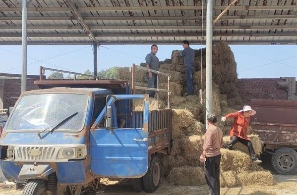 在湘乡，秸秆如何变废为宝？答案就是……