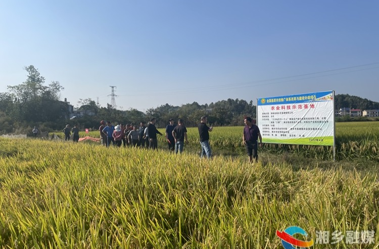 [农业农村局]举办农业科技示范基地观摩活动