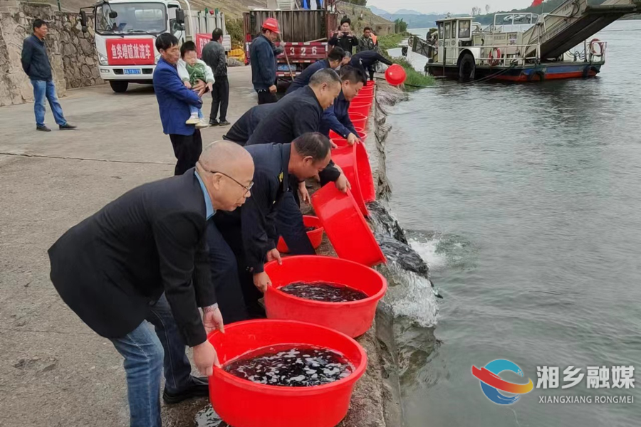【碧水蓝天 生态湘乡】湘乡：放流300万尾鱼苗 将成为防治福寿螺的“主力军”