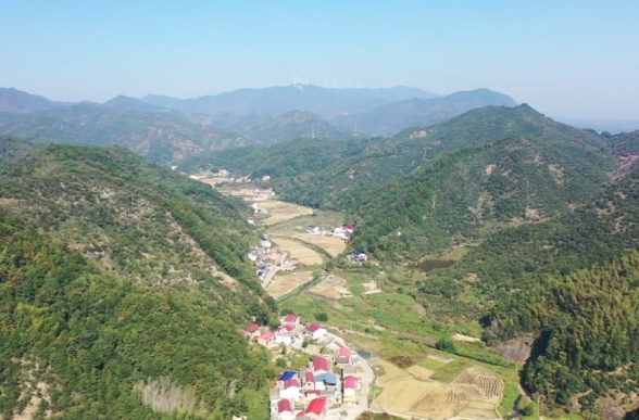 家乡有好物 | 潭市油茶迎丰收