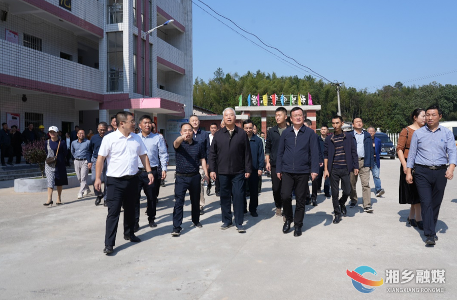海军原副司令员丁一平将军回乡调研