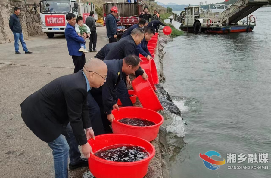 300万尾鱼苗放流 湘乡涟水生态修复迎来“主力军”