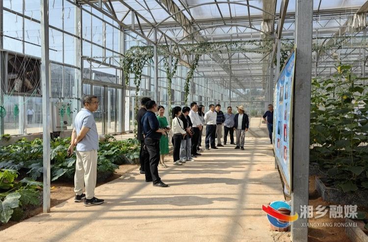 [龙洞镇]开展代表小组活动 促进代表履职尽责
