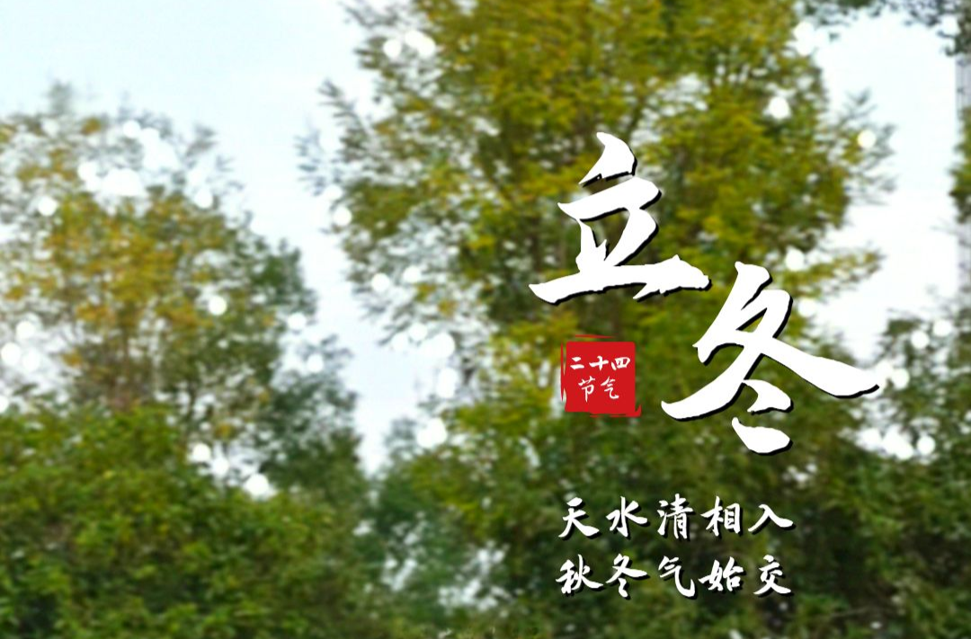 今日立冬 | 霜染万物 冬之伊始