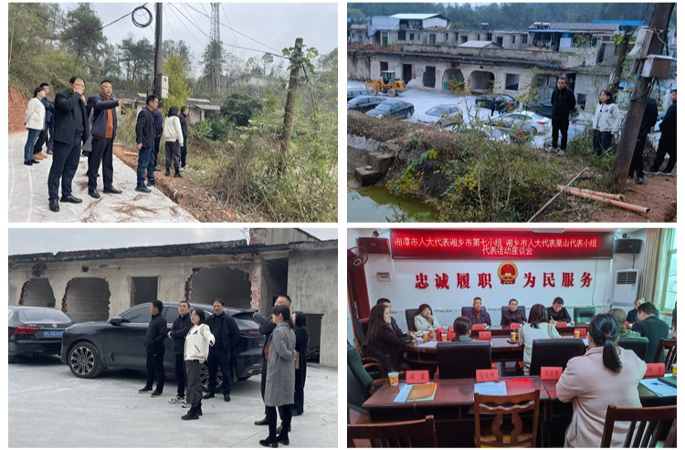 湘潭市人大代表第七代表小组调研基层文化建设  推动乡村文化振兴