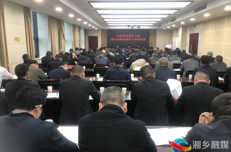 湘乡市农业农村重点工作暨全市耕地保护工作推进会召开