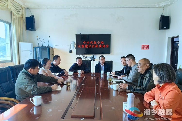 [中沙镇]加强调研走访 履行代表职能