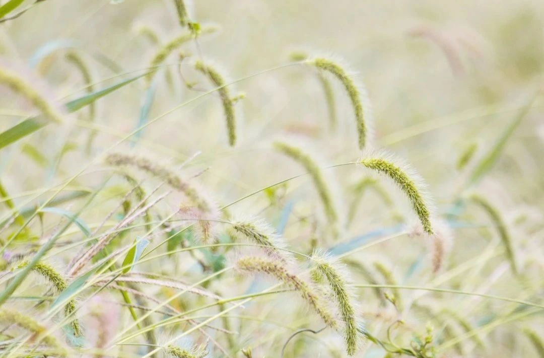 别走啊，湘乡的秋天~ 原创