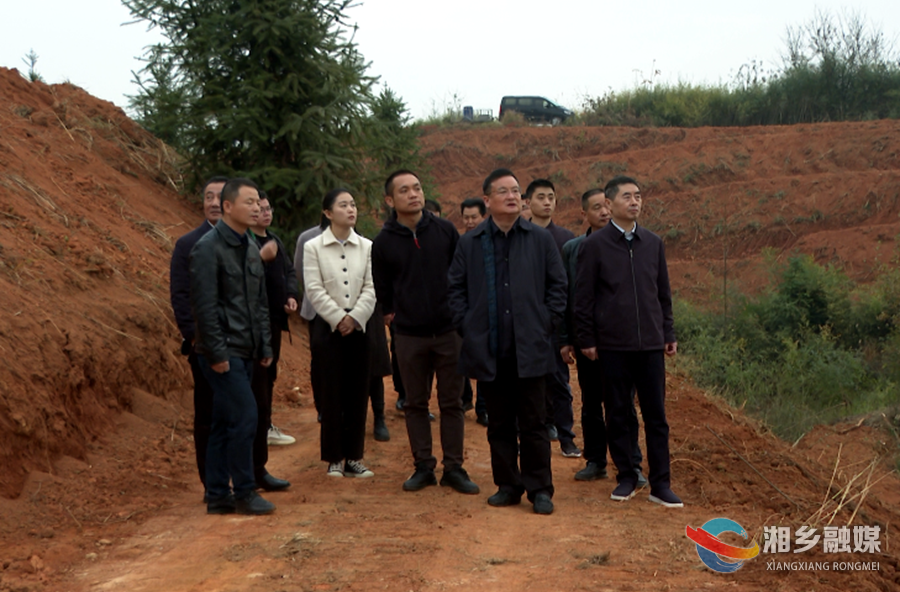 【“走找想促”活动】赵新文赴乡镇督导耕地恢复工作