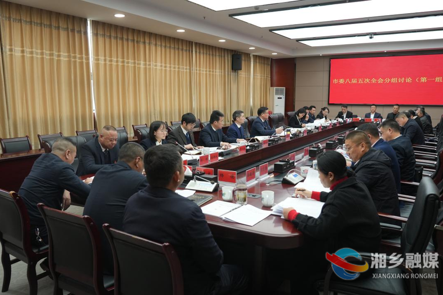 市委八届五次全会分组讨论：锚定目标 真抓实干 奋力把美好蓝图变为现实