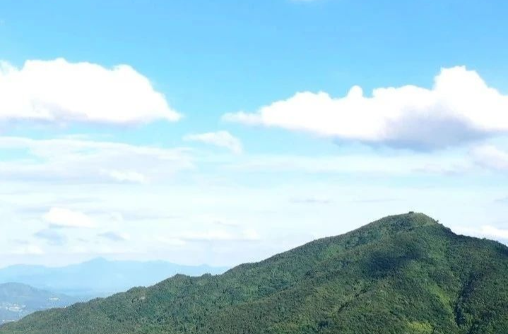 @所有人，湘乡市创建国家森林城市调查问卷需要您的参与！