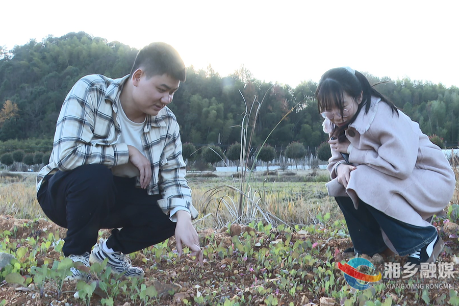 【委员风采】彭泽锋：心怀桑梓情 共筑家乡梦