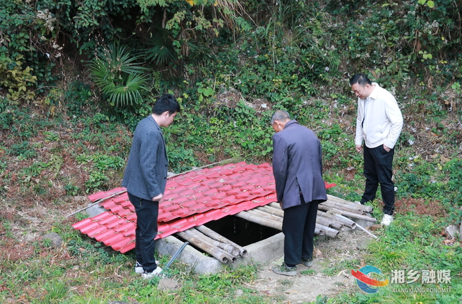 【委员风采】肖林波：为群众福祉建言 为招商引资献力