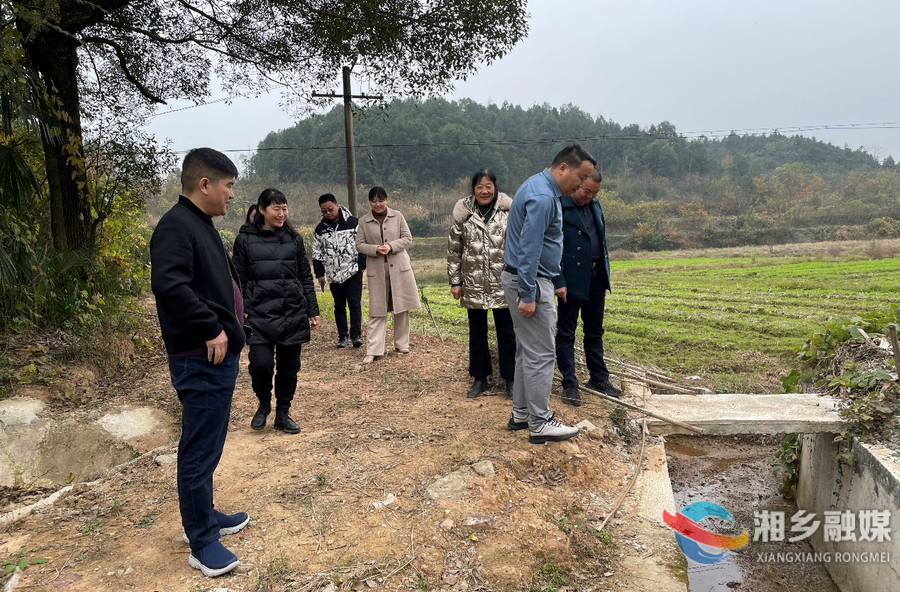 【代表风采】潭市镇人大主席团