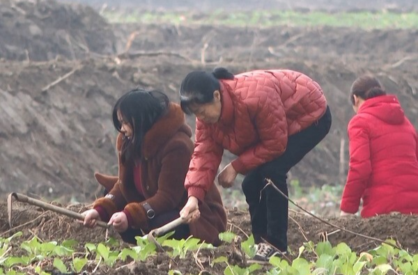 “荒地”变“良田” 湘乡奏响乡村振兴曲