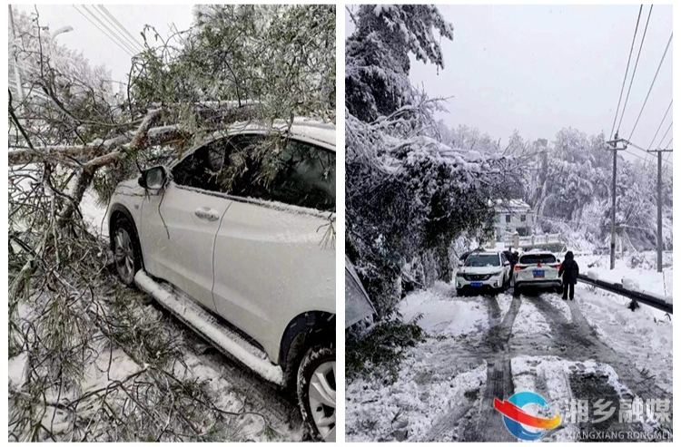 [山枣镇]积雪压断树枝 紧急处理护平安