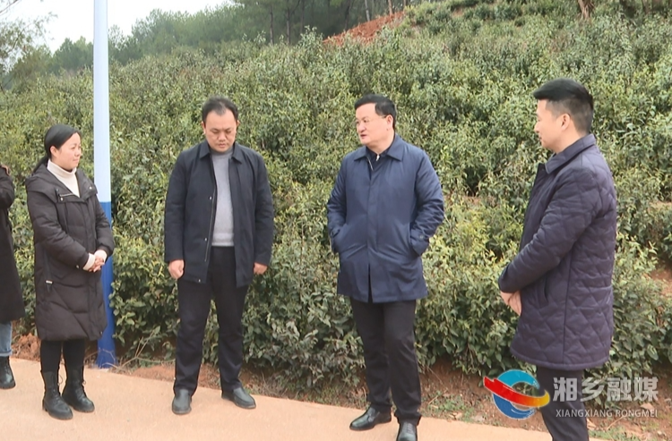 【“走找想促”活动】赵新文赴乡镇调研督查“两茶”产业发展、安全生产等当前重点工作