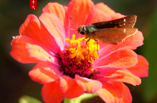 今日立春 | 万物随春醒，万象皆美好
