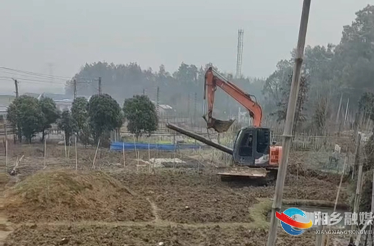 [泉塘镇]快速除隐患 护路保畅通