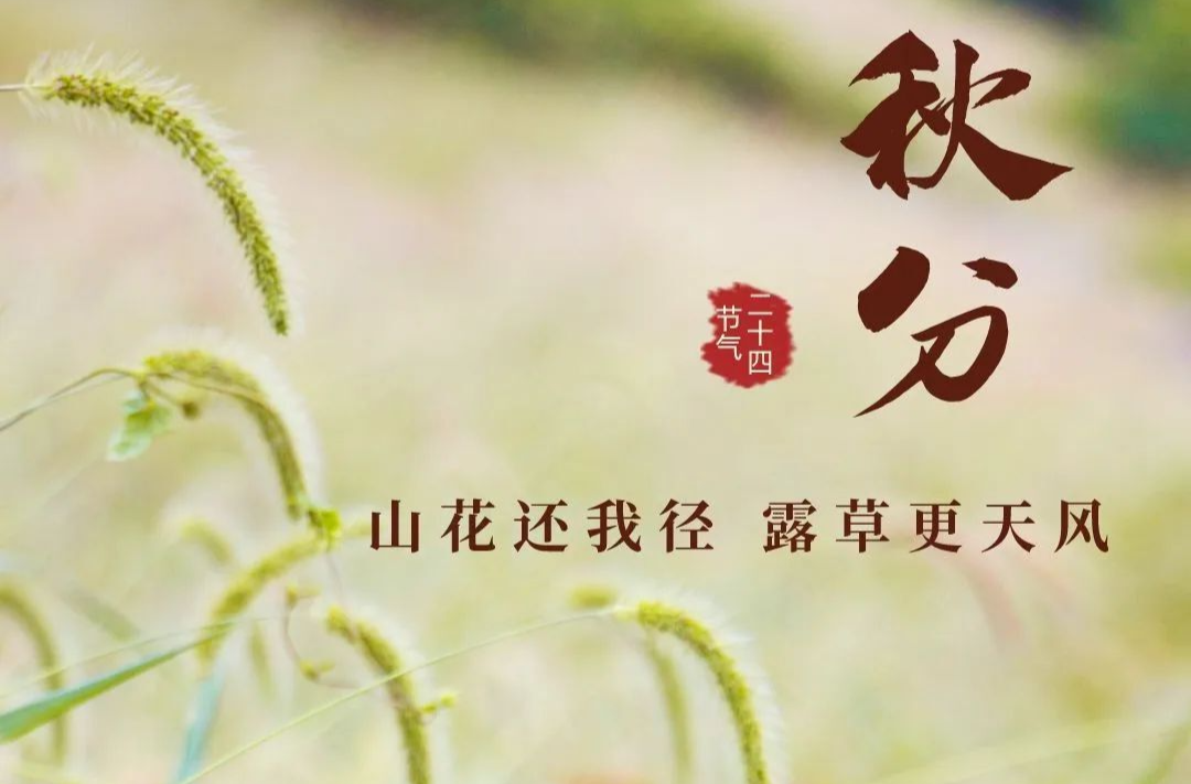 今日秋分 | 平分秋色 收获美好