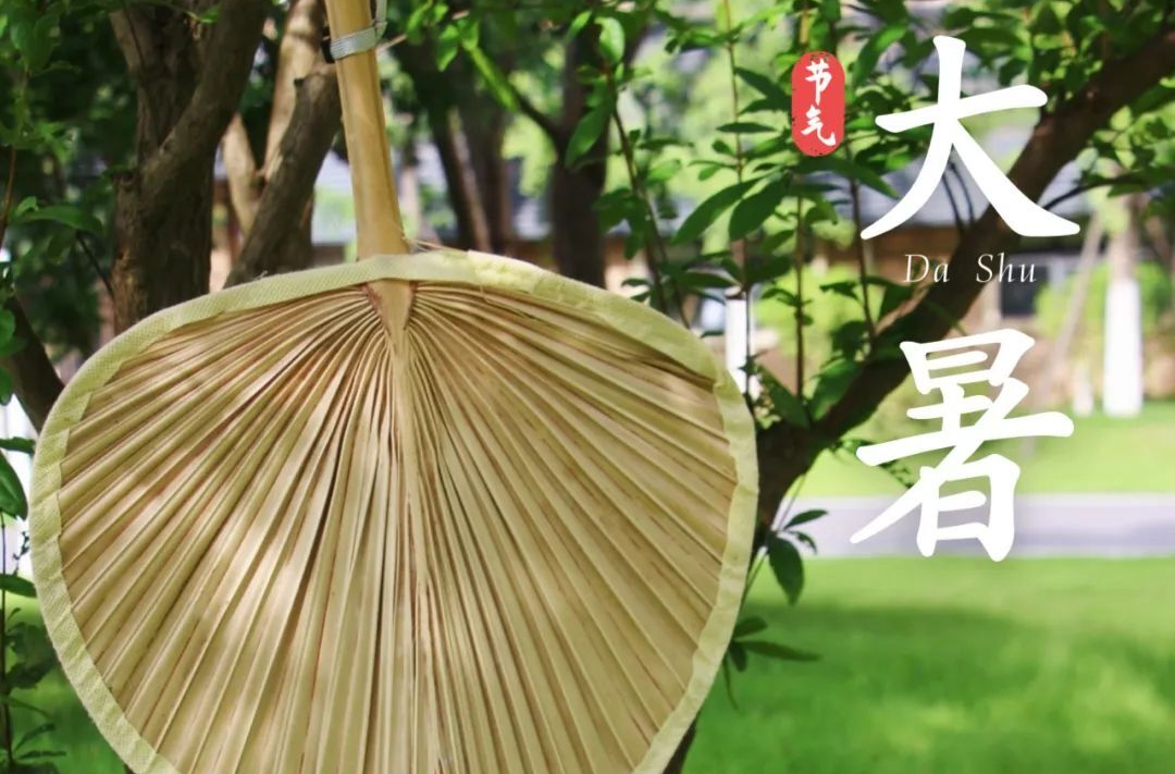 今日大暑 | 惟愿日子如馨，夏日安怡