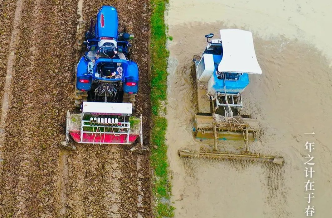 节气里的大美湘乡 | “历”数龙城四时花
