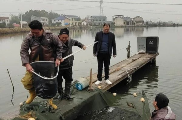 鱼跃人欢奔小康！湘乡这位好支书这样干