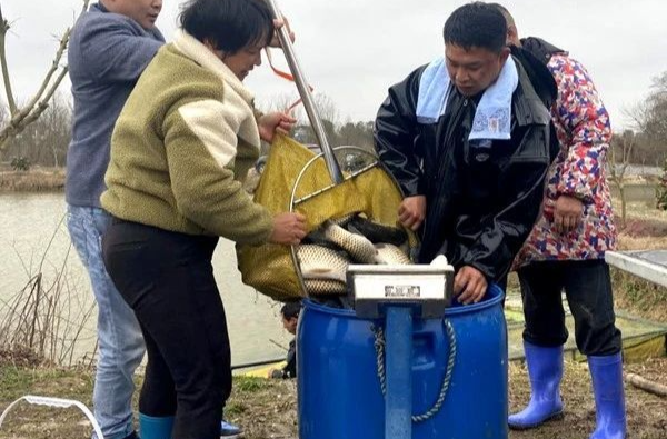 小小鱼苗，“游”出泉塘镇产业振兴致富路！