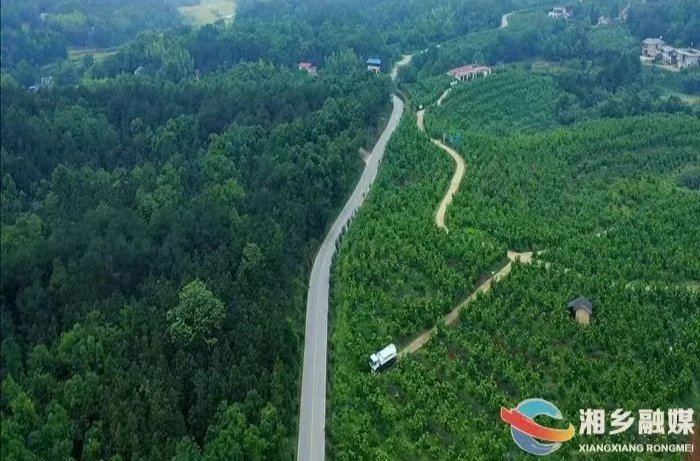 喜讯！湘乡这个单位获全省表彰