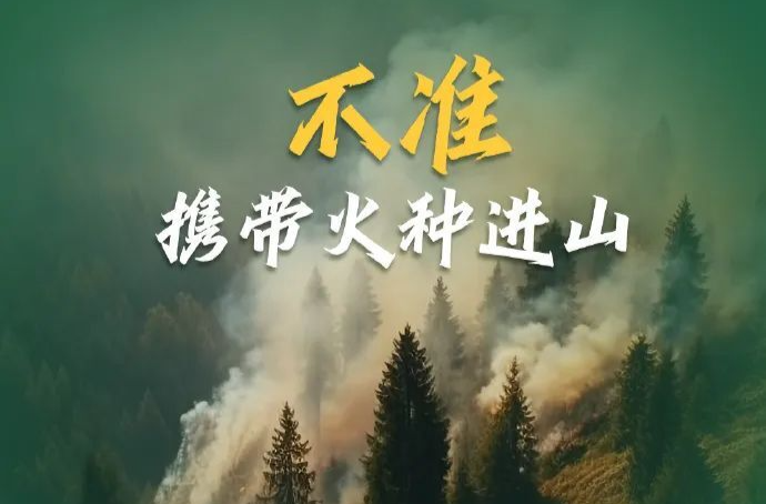 森林防火 人人有责 千万别让森林“火”起来