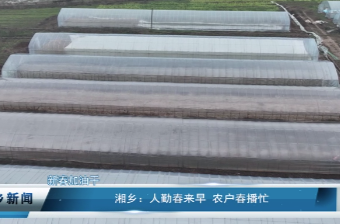 3月4日湘乡新闻