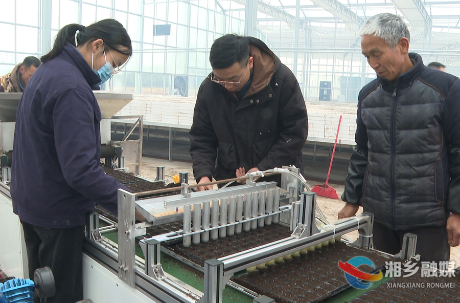 万象“耕”新不负春 湘乡奏响育苗“春耕曲”