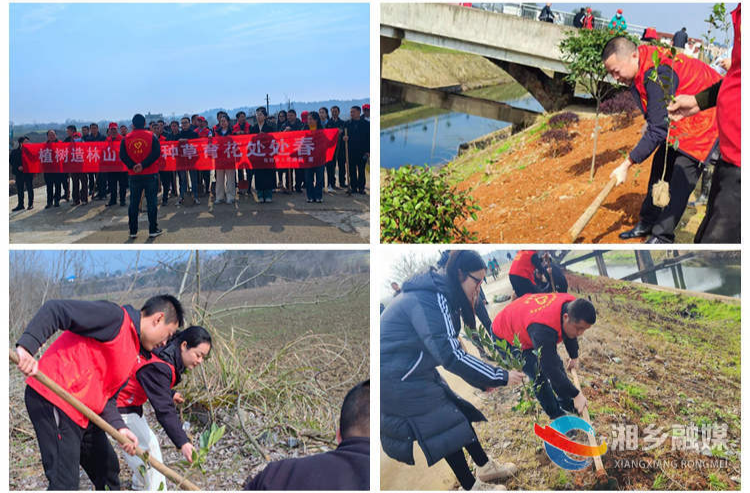 [东郊乡]“植”此青绿 不负春光