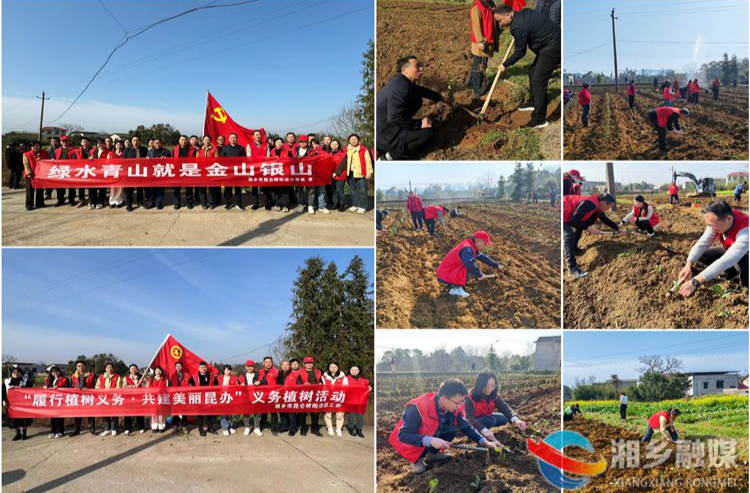 [昆仑桥街道]相约春天 共植希望