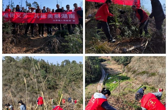 [山枣镇]奔赴青山 种下新绿