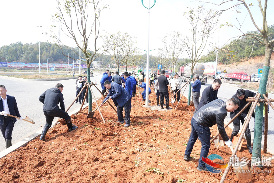 春光正好添新绿！赵新文、郭勇等市领导参加义务植树活动