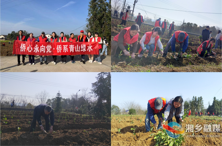 [侨联]“侨”手植“青绿”  共创森林城市
