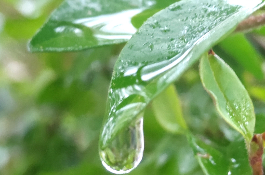 【节气里的大美中国】今日雨水