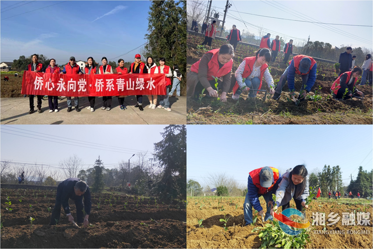 [侨联]“侨”手植“青绿”  共创森林城市