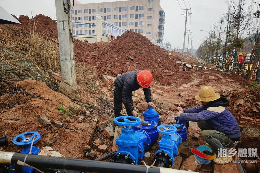 【优化营商环境进行时】市城管局：打好“组合拳” 助企“加速跑”