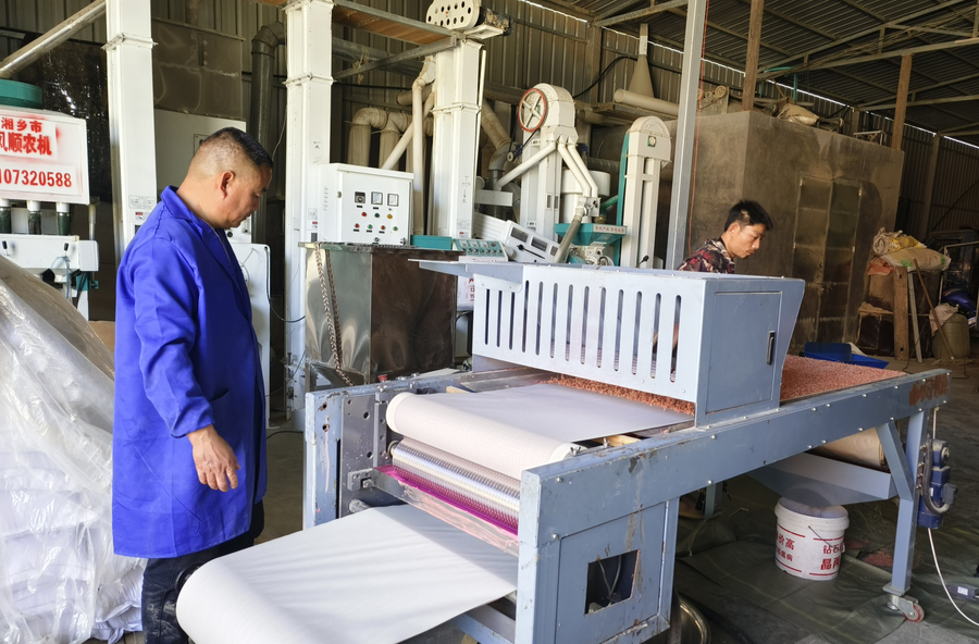 湖南湘乡：科技赋能 水稻育秧用上印刷播种机