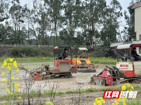 芙蓉国评论丨按下春耕“快进键”，绘就一年好“丰”景
