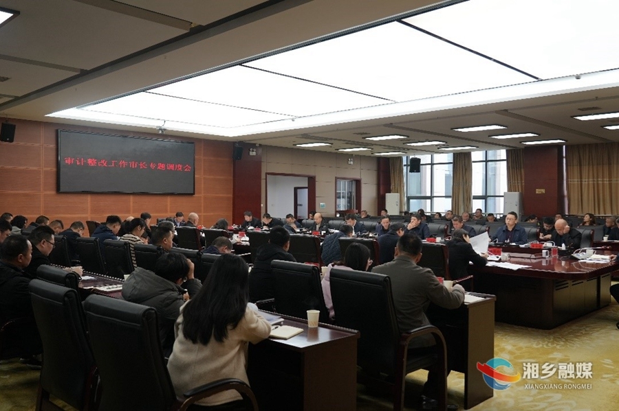 郭勇：把握好关键、质量、考评  扎实推进审计整改工作