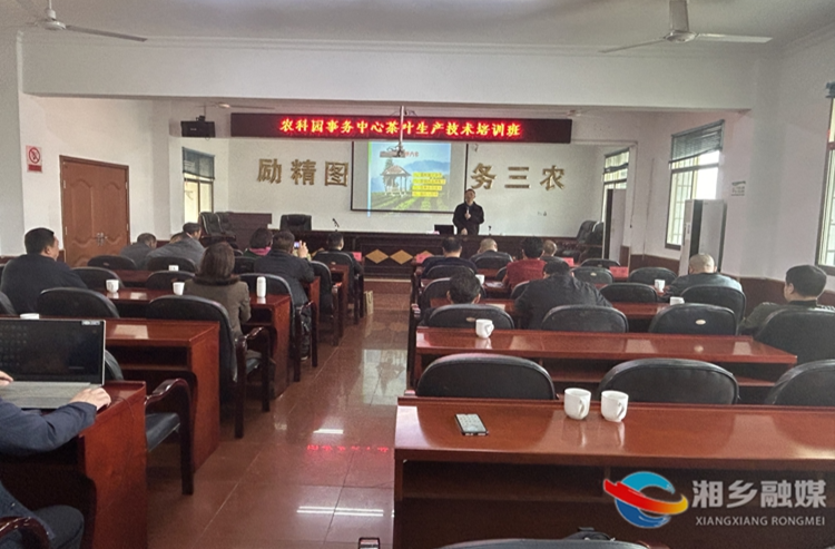 [农业农村局]春茶技术培训 助力产业提升