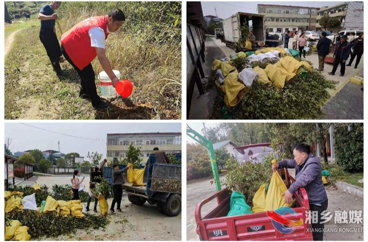 [月山镇]谋划庭院经济 助力脱贫户增收