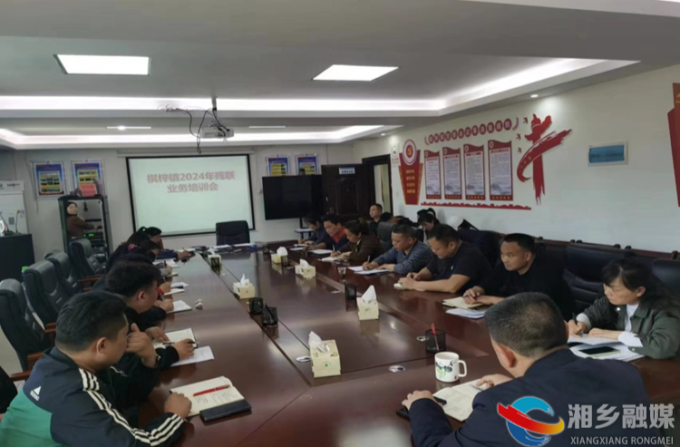 [棋梓镇]开展残联业务培训 共筑无障碍未来