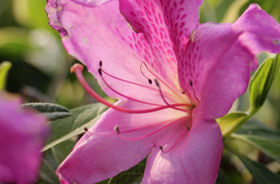 今日谷雨！愿你不负春光，不负己