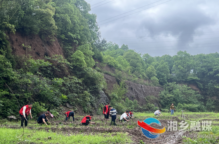 [东山街道]社矫对象化身“志愿红” 助力青苗行动