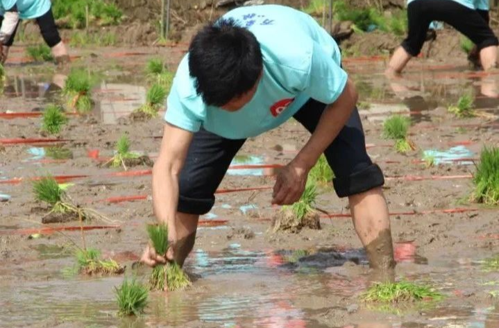 插秧接力、徒手抓鱼……湘乡首届农耕文化节好好耍！