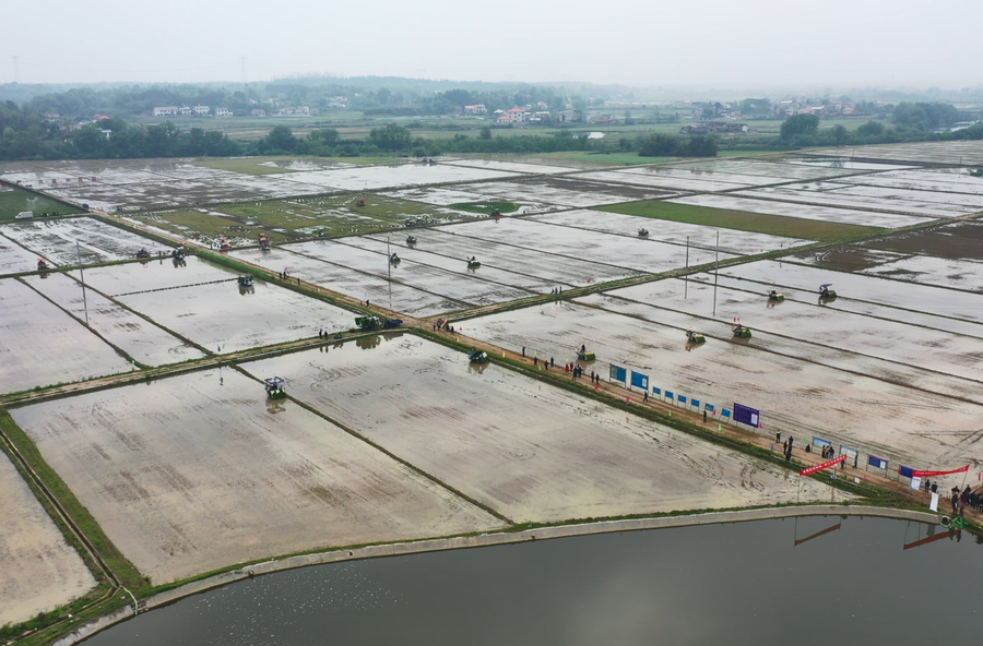 尽显“科技范”！湖南湘乡开展水稻机插（抛）秧技术现场演示活动
